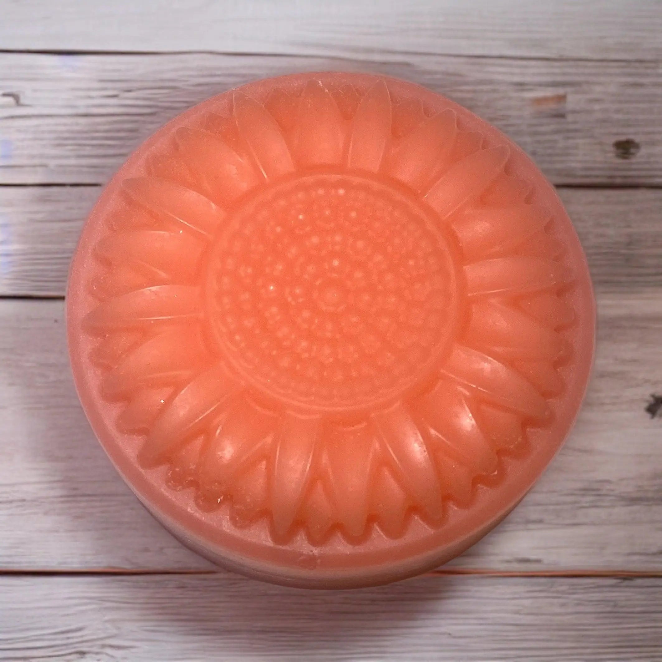 Citrus Rice Water Conditioner Bar - Honey and Grace Soap Co.